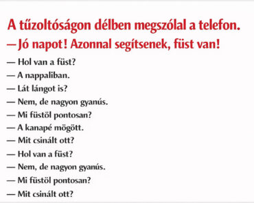 Füst volt a nappaliban – amit a tűzoltóknak mondott, attól még a macska is megsértődött