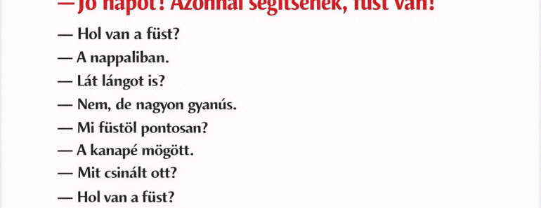 Füst volt a nappaliban – amit a tűzoltóknak mondott, attól még a macska is megsértődött