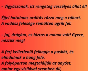 Egy vadász expedícióra viszi a feleségét és az anyósát Afrikába.