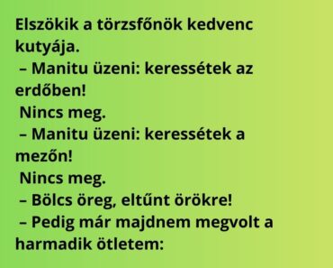 Elszökik a törzsfőnök kedvenc kutyája.