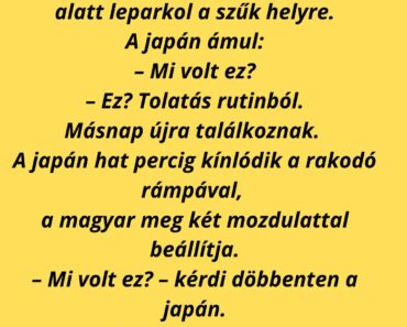 A japán kamionos először találkozik a magyarral a parkolóban.