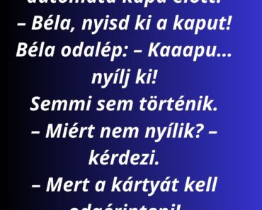 Két rendőr áll egy automata kapu előtt.