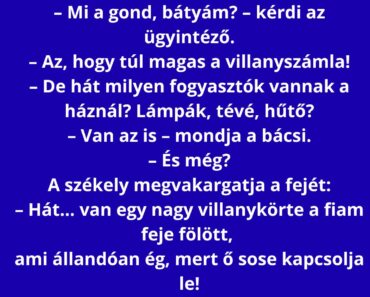 A székely bácsi bemegy a szolgáltatóhoz.