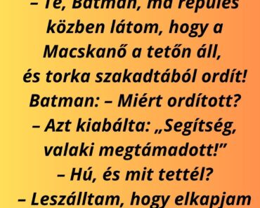 Superman odamegy Batmanhez: