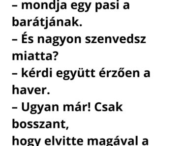 Elhagyott a feleségem