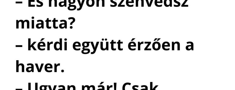 Elhagyott a feleségem