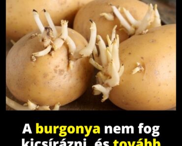 A burgonya nem fog kicsírázni, és tovább marad friss. Elég csak közéjük tenni…