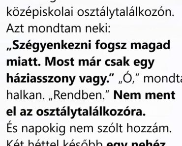 Azt hittem, egész nap „nem csinál semmit”, aztán egyetlen doboz mindent megváltoztatott