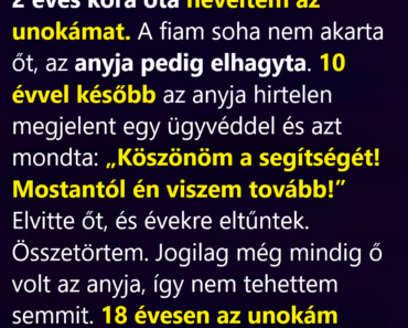 Elvitte a kisunokámat, akit én neveltem fel, évekkel később pedig megváltozva jött vissza