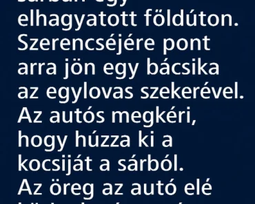 VICC: Egy autós elakad a sárban egy elhagyatott földúton.