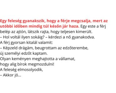 Egy feleség gyanakszik, hogy a férje megcsalja, mert az utóbbi időben mindig túl későn jár haza.