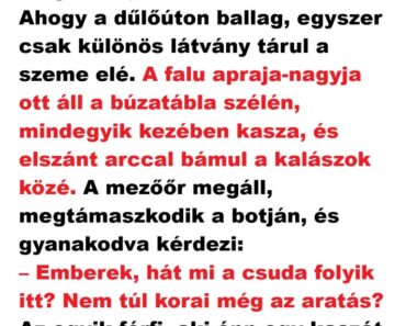 A mezőőr egy szép nyári délután kimegy a búzaföldre