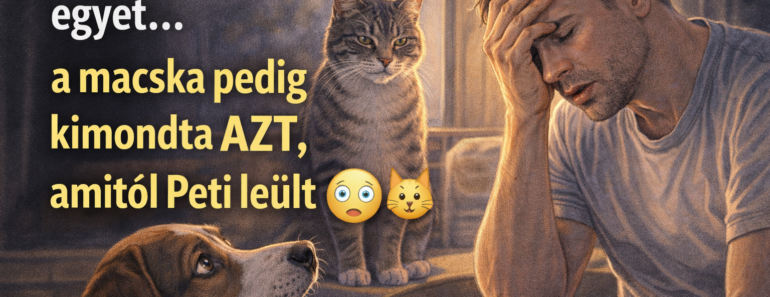 A kutya csak kérdezett egyet… a macska pedig kimondta AZT, amitől Peti leült 😳🐶🐱