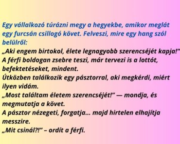 A vállalkozó és a varázskő