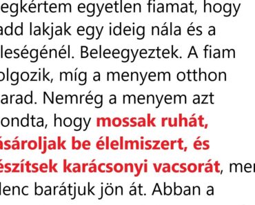 A menyem úgy bánik velem, mint a személyes szobalányával — ezért karácsonykor úgy döntöttem, hogy megtanítom neki egy leckét, amit soha nem fog elfelejteni.
