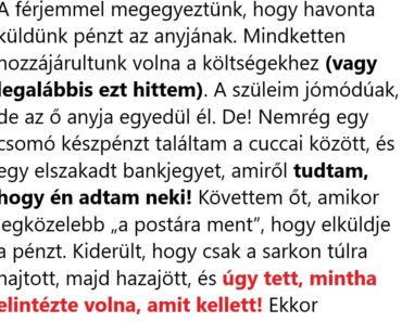 A férjem olyan leckét kapott, amit nem felejt el, miután rájöttem, hogy titokban megtartotta a pénzt, ami az anyjának ment volna