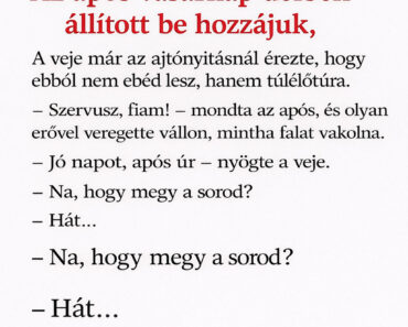 Az após mindenbe belekötött ebédnél, de a veje utolsó mondata mindent vitt