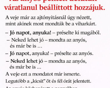 Az anyós csak „egy kicsit” ugrott be… a veje végül olyat szólt, hogy megállt a levegő