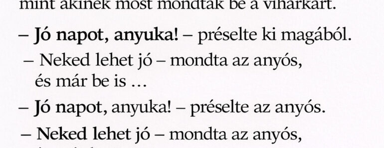 Az anyós csak „egy kicsit” ugrott be… a veje végül olyat szólt, hogy megállt a levegő
