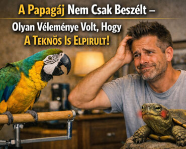 VICC: A Papagáj Nem Csak Beszélt – Olyan Véleménye Volt, Hogy A Teknős Is Elpirult!
