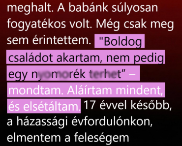 Tizenhét évvel azután, hogy elmentem, visszatértem bocsánatért