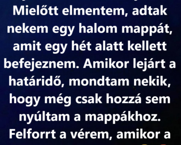 Elvették a pozíciómat, de cserébe sokkal többet kaptam.
