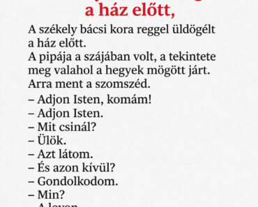 A székely bácsi csak ült a ház előtt, miközben eltűnt a lova… aztán jött a durva fordulat