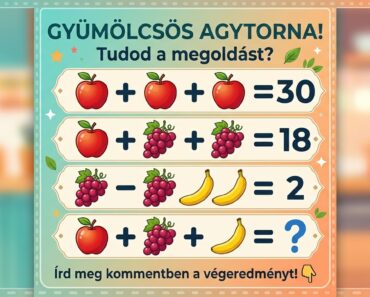 „Frissítsd fel az elméd! Mi a végeredmény?”