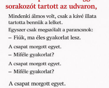 VICC: Égni kezdett a konyha, a tűzoltó pedig olyat mentett ki, hogy mindenki ledobja a telefont