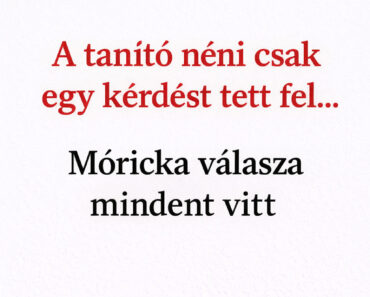 A tanító néni csak egy kérdést tett fel… Móricka válasza mindent vitt