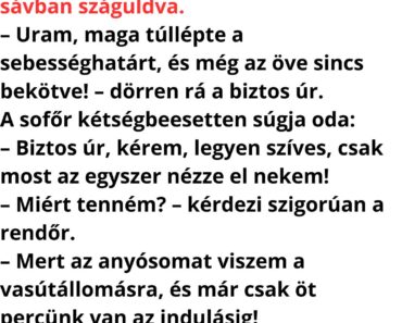 A rendőr megállítja az autóst, aki mellett az anyósa ül a szembe jövő sávban száguldva.