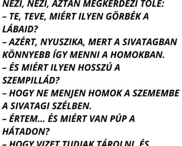A nyuszika sétál a sivatagban, egyszer csak meglát egy tevét.