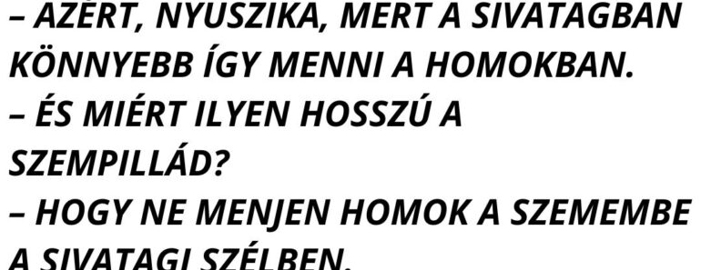 A nyuszika sétál a sivatagban, egyszer csak meglát egy tevét.