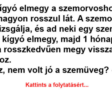 Egy kígyó elmegy a szemorvoshoz