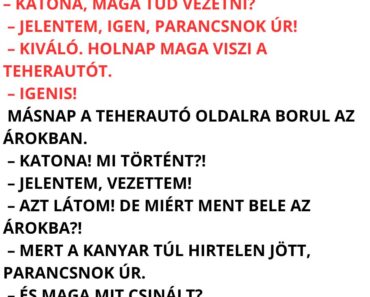 Katona, maga tud vezetni?