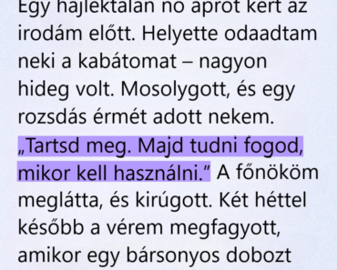 Egy hajléktalannak tűnő nőnek odaadtam a kabátom, két hét múlva egy bársonydoboz mindent megváltoztatott