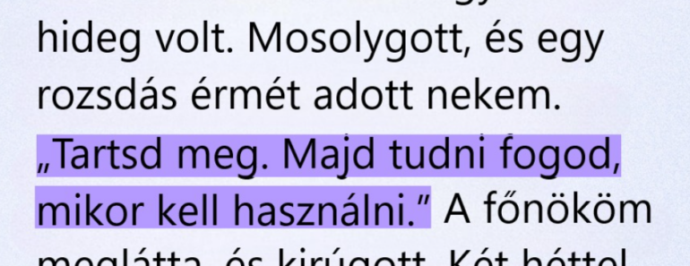 Egy hajléktalannak tűnő nőnek odaadtam a kabátom, két hét múlva egy bársonydoboz mindent megváltoztatott