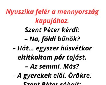 Nyuszika felér a mennyország kapujához.