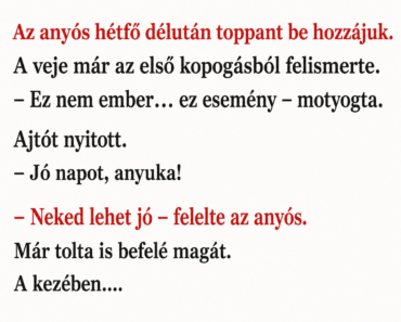 Az anyós sütit hozott hétfő délután… a veje véleménye a végén mindent vitt