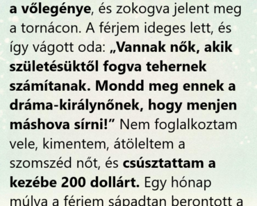 Adtam 200 dollárt a várandós szomszédomnak, mert megsajnáltam. Akkor még nem tudtam, hogy ezzel csak a férjem titkának elejét látom.