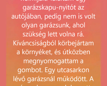 Egy különös garázsnyitó mutatta meg, mennyi jóság volt benne Egy különös garázsnyitó mutatta meg, mennyi jóság volt benne